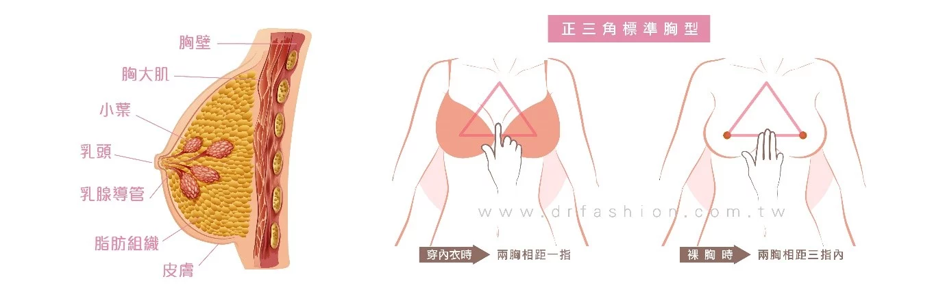 隆乳1