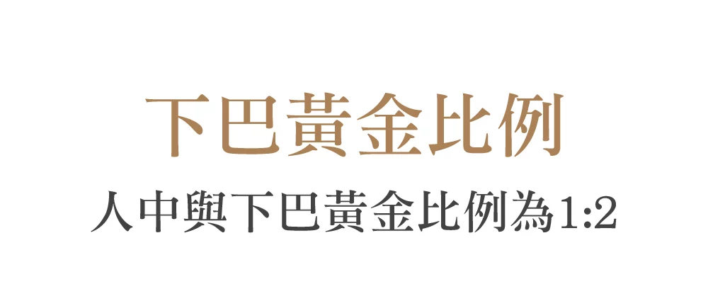 下巴精雕 文字