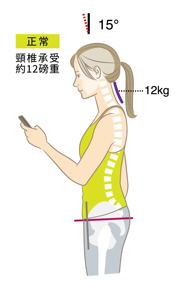 斜方肌 傾斜15