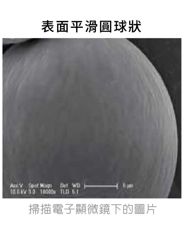 洢蓮絲 PCL 1