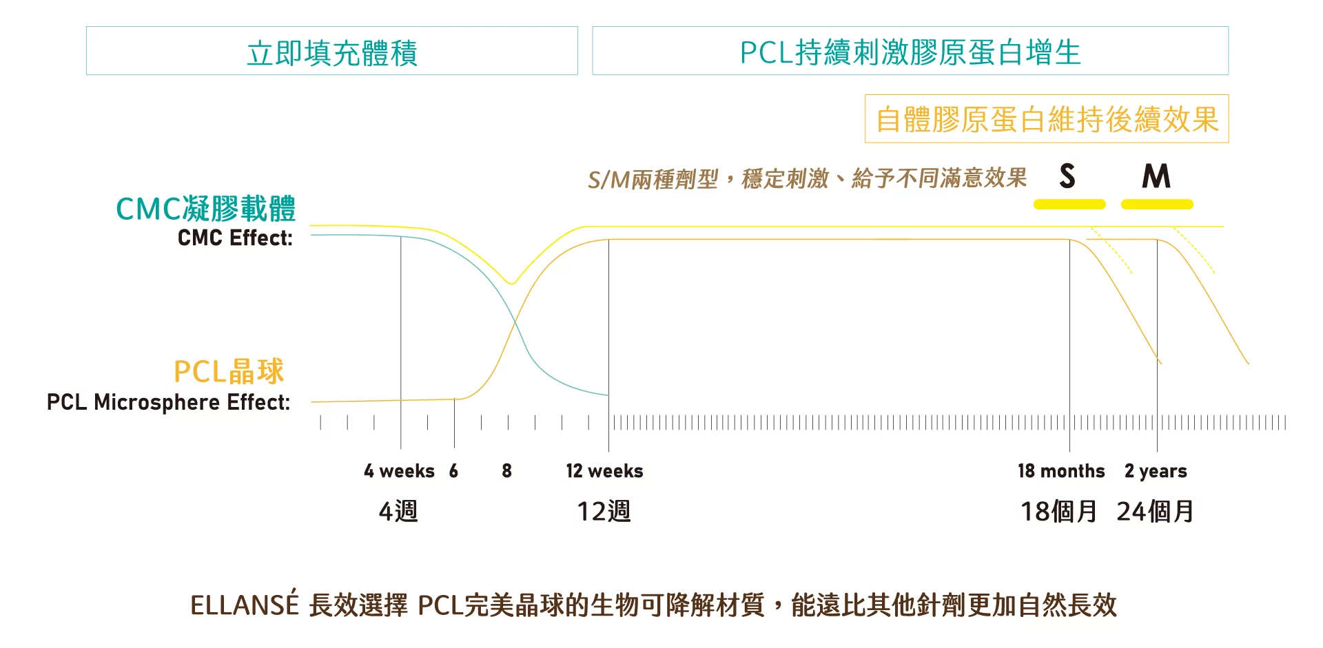 洢蓮絲 示意圖