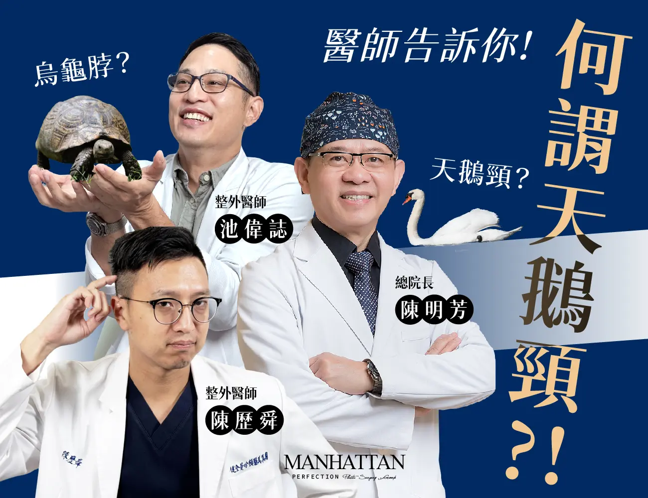 ALL 天鵝頸 1300x1000